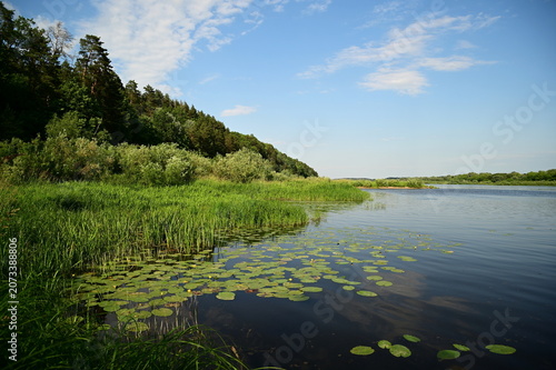 Summer landscape with a river