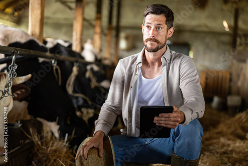Fotografija Farmer in a barn monitoring cattle health and farm data with a digital tablet, m