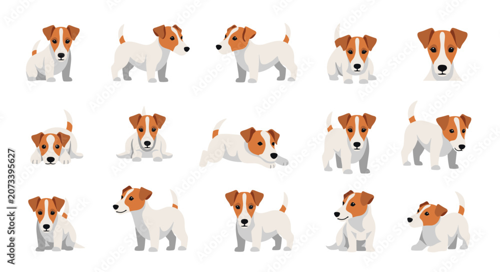 Obraz premium Vector set of adorable Jack Russell Terrier dog illustrations in different playful and static poses on a white background.