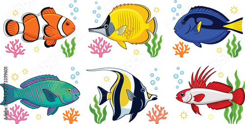 Foto Set of colorful tropical coral reef fish vector illustrations featuring clownfis