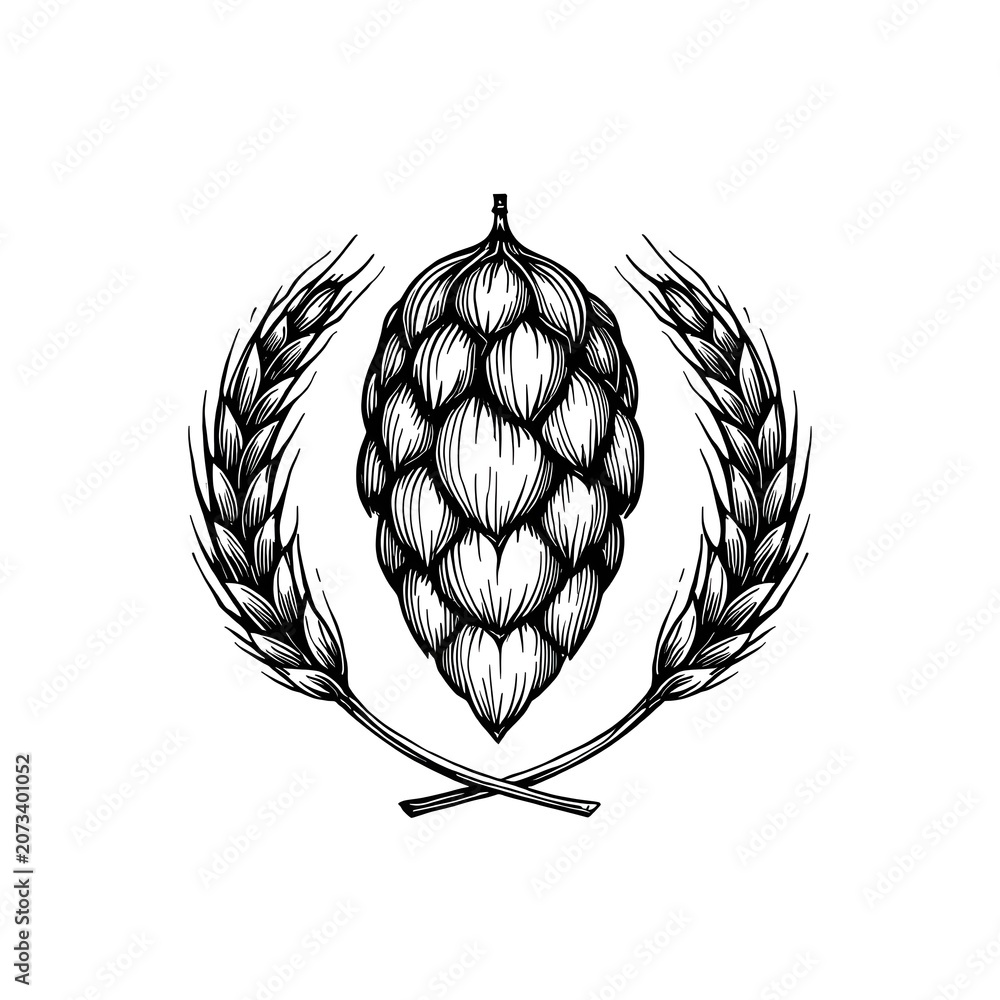 Fototapeta premium Hop cone and wheat wreath, engraved logo style.
