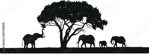 Photography African Savannah Landscape Vector Silhouette with Elephants and Acacia Tree Isol