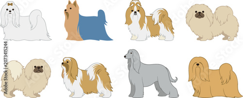 Canvastavla Cute long haired dog breeds vector set including maltese yorkshire terrier shih
