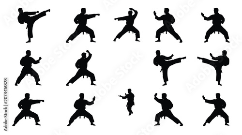 Multiple black silhouettes of a karate practitioner performing various dynamic martial arts fighting stances and kicks