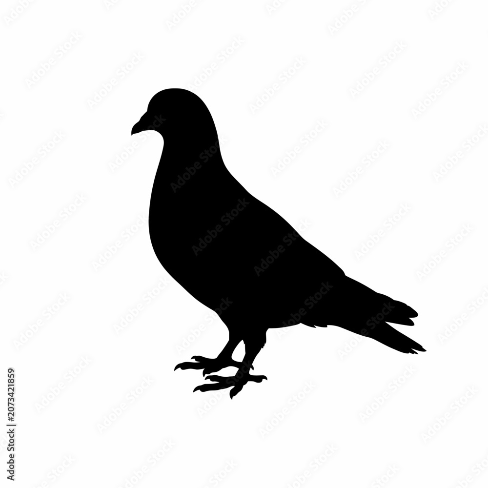 Fototapeta premium Black bird silhouette, pigeon icon, bird illustration, animal design isolated on White Background