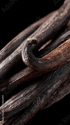 Extreme Macro Madagascar Vanilla Beans with Creamy Texture