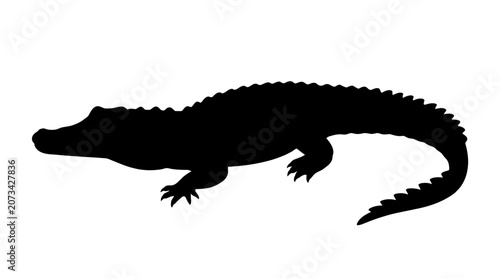 Alligator silhouette with curved tail.