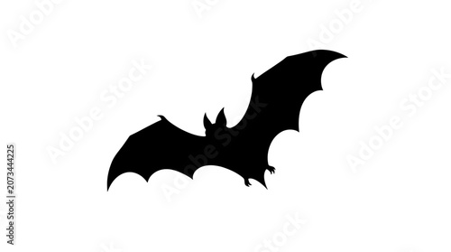 Silhouette of a bat with outstretched wings flying in the night sky