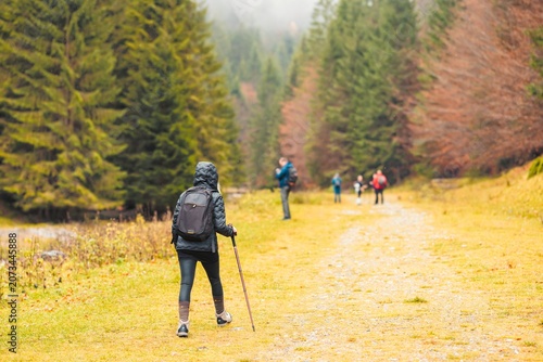 A solitary hiker ventures down a golden autumn path surrounded by towering evergreens, while fellow adventurers explore in the background. The lush landscape invites a sense of freedom and adventure
