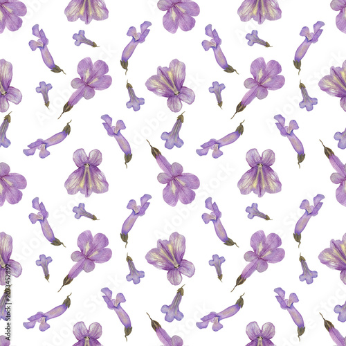 Watercolor Seamless Floral Pattern with Purple Flowers Elegant Wedding and Cosmetic Design