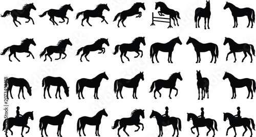 Schilderij op canvas Black and white of a diverse herd of running horses galloping