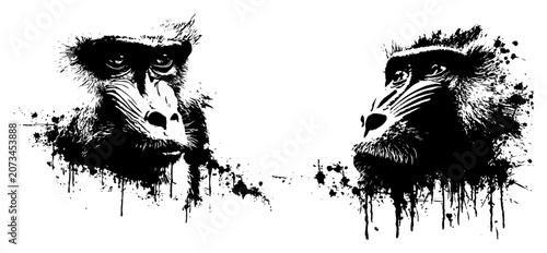 Canvastavla Mandrill baboon monkey portraits with black ink splatters, wild animal primate h