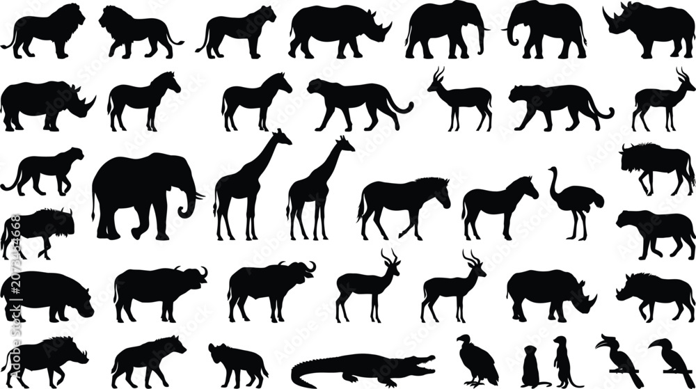 Fototapeta premium Black and white of a herd of running elephants, isolated on white background