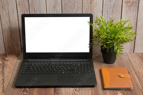laptop with white screen notebook and plant on wooden table
