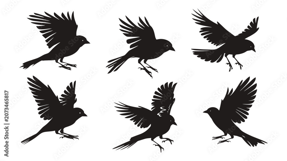 Obraz premium Black bird silhouette collection, set of 6 flying sparrow and crow vector icons, minimalist wild bird wing shapes for nature logos