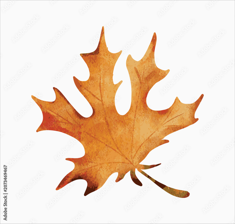 Obraz premium autumn watercolor leaf illustration