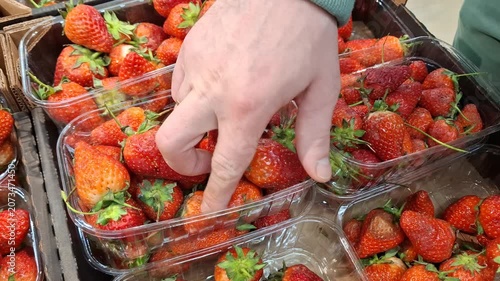 Fresh ripe strawberries inside transparent plastic boxes on store counter display. Shopper person holding one container, choosing delicious summer fruits full of vitamins in grocery shop or market