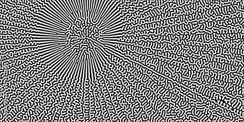 Cyclic Symmetric Multiscale Turing Pattern. Monochrome texture. Most trendy cool modern abstract vector background. Minimalism and minimal art print. Posters and covers.