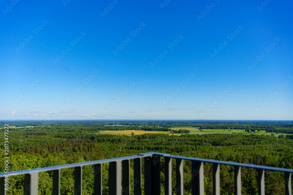 Fototapeta premium Scenic view of green forest and yellow agriculture fields from an observation tower. Panoramic aerial lookout of vast nature countryside and rural farmland under blue sky.