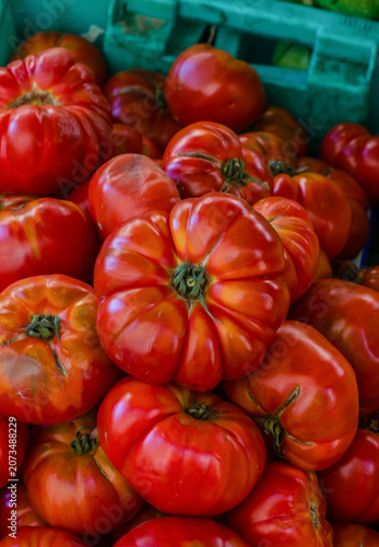 Photography Fresh ripe red heirloom tomatoes pile close up, organic beefsteak tomato harvest
