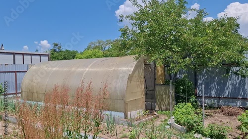Arched plastic greenhouse located in countryside kitchen garden under blue sky. Old polycarbonate hotbed for growing organic vegetables surrounded by green plants, trees and fences in village backyard