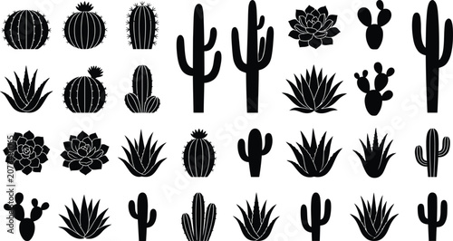 Black and white of various plants and leaves, isolated on white background, foliage