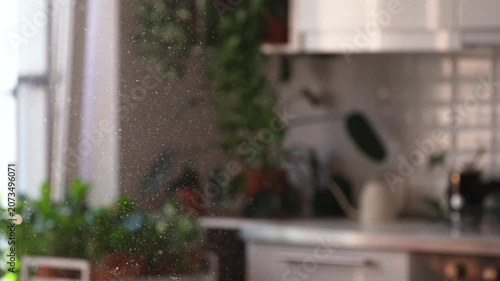 Dust motes floating in the air, illuminated by sunlight streaming through window in apartment, selective focus. Cause of allergies. House cleaning. Slow motion. 