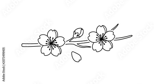 A simple line drawing of a blooming branch with small flowers