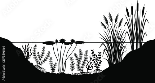Black and white pond ecosystem illustration with water plants