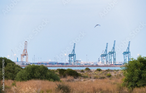 Industrial Cargo Port with Tall Cranes and Shipping Containers for Global Trade