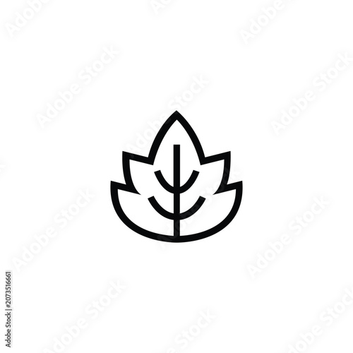 Leaf Plant Nature Eco Green Line Icon