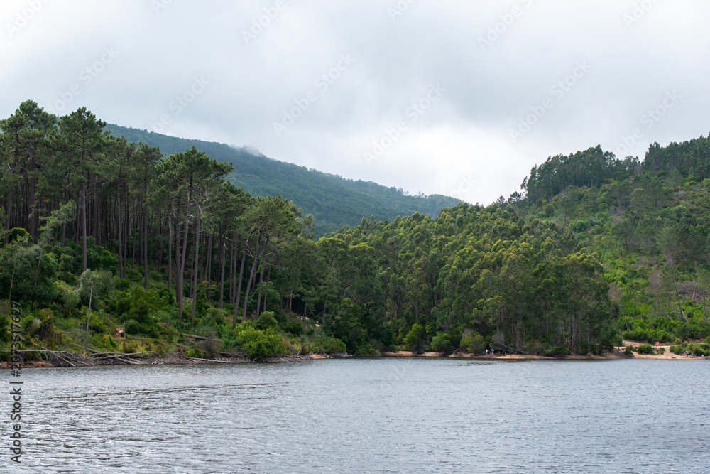 Fototapeta premium Serene Woodland Lake Outdoor Escape