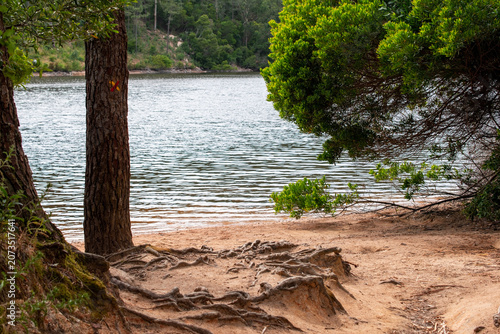 Beautiful Lake Surrounded By Trees