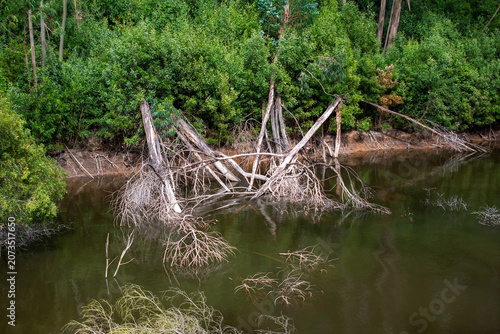 Scenic Woodland Lake Travel Destination