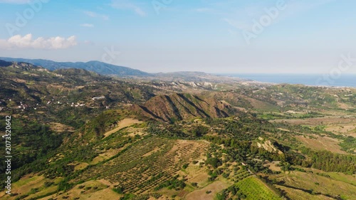 Calabrian hilly landscape in Italy with cultivated fields of citrus fruits