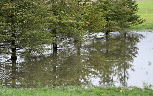 Flooded Back Yard