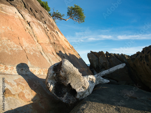 Canvas Print Large weathered granite rock formations with distinct slabs highlighted by lush vegetation clinging to the cliffs are a tourist attraction in khanom district nakhon si thammarat province