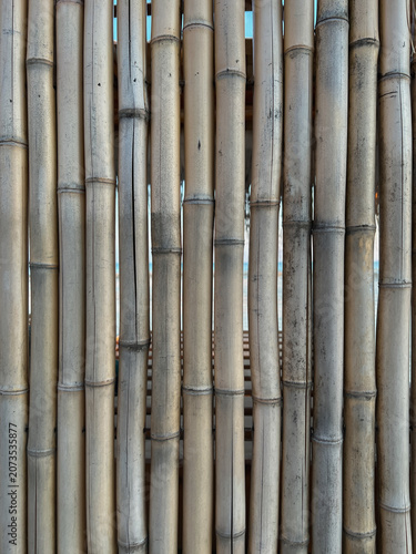 vertical bamboo fence with natural wooden texture and organic pattern background