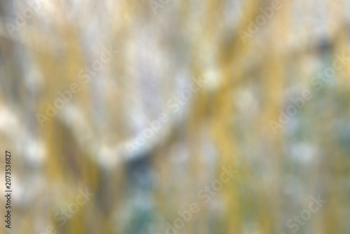 A blurred background with snow falling on a weeping willow tree in a garden, United Kingdom