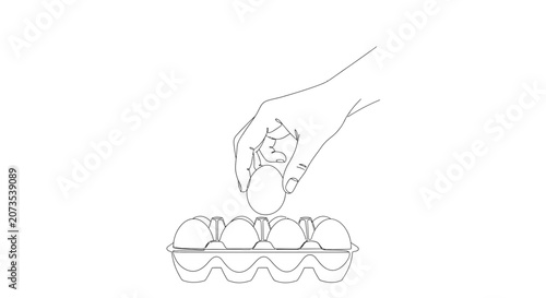 A hand placing a fresh egg into a cardboard carton.