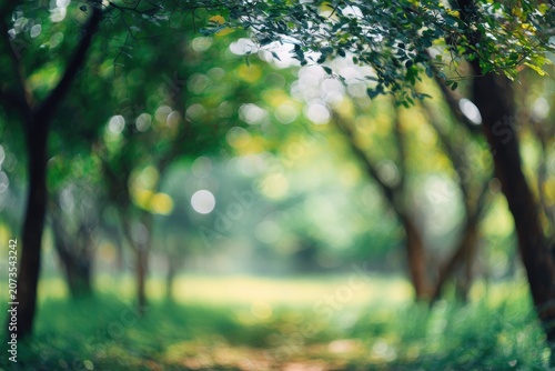 A soft, dreamy photograph captures a blurred, verdant forest scene with dappled sunlight filtering through the trees, creating a tranquil and ethereal atmosphere.