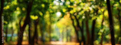 A soft, blurred panoramic view showcases a sun-drenched forest path, creating a dreamy and tranquil atmosphere with vibrant green and golden hues.