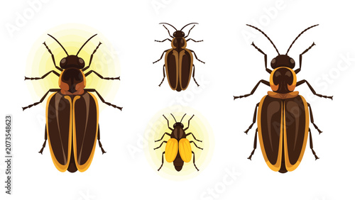 Collection of four stylized illustrations of different types of beetles on a white background.