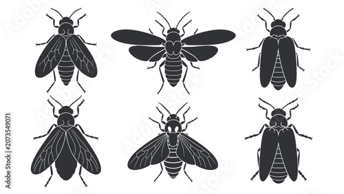 Collection of six stylized black insect illustrations on a white background, showing different types of bugs.