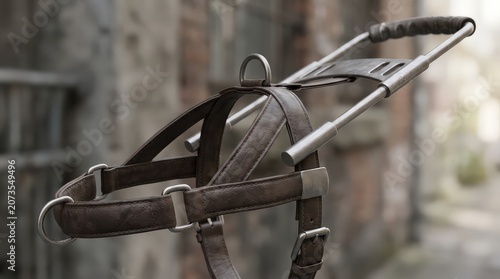 Detailed CloseUp of a Brown Leather Dog Harness with Metal Accents