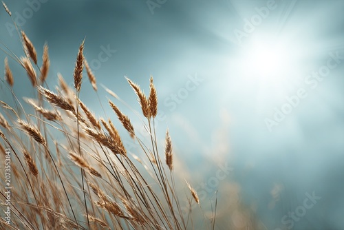 Golden wheat stalks sway gently in the breeze against a softly blurred, sunlit sky, creating a serene and natural landscape.