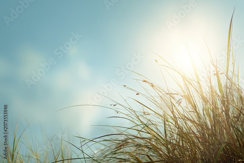 Golden sunlight filters through tall grasses against a soft blue sky, creating a serene and peaceful natural scene.