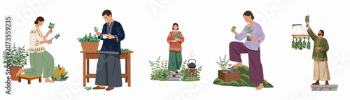 Flat vector illustration set of people gathering, drying, and preparing medicinal herbs for natural healing and herbal tea production.