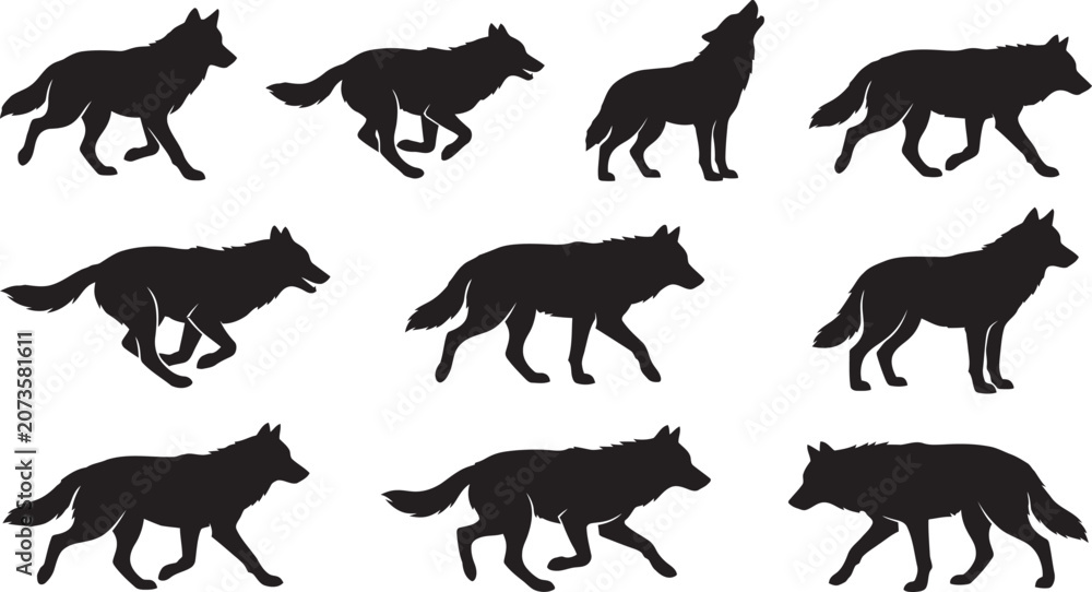 Obraz premium Set of Horse Silhouettes Vector Collection with Wild and Farm Animal Black Icons and Mammal Illustration Design
