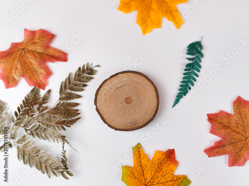 Flat lay of empty wood slice log with autumn maple leaves on white background